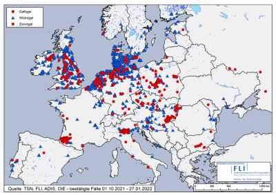 Derzeitige Verbreitung der Geflügelpest in Europa. Quelle: Friedrich-Löffler-Institut